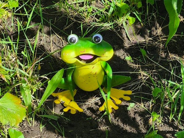 A cheerful frog ornament hidden in the garden — one of the treasures to find.