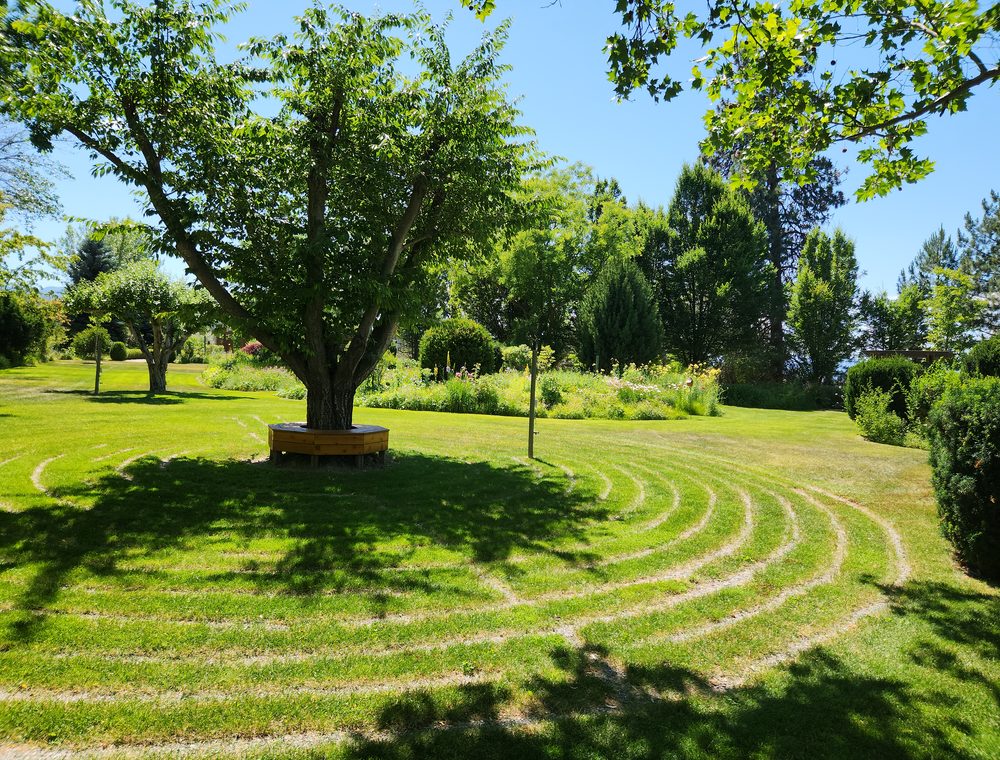 Children exploring the lawns and paths at Elysium Gardens.