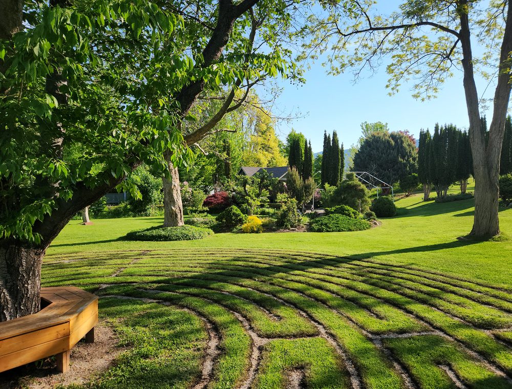 Grass paths winding between hedges — the prayer labyrinth.