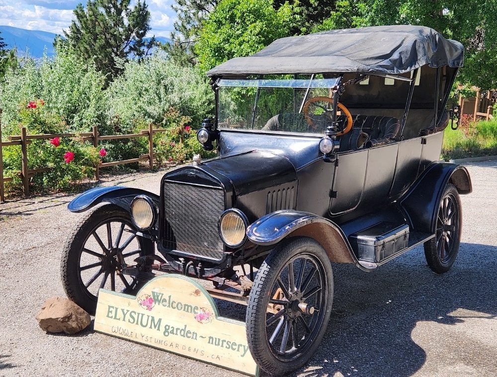 The original 1919 Ford Model T parked at Elysium Gardens. Saturdays only.