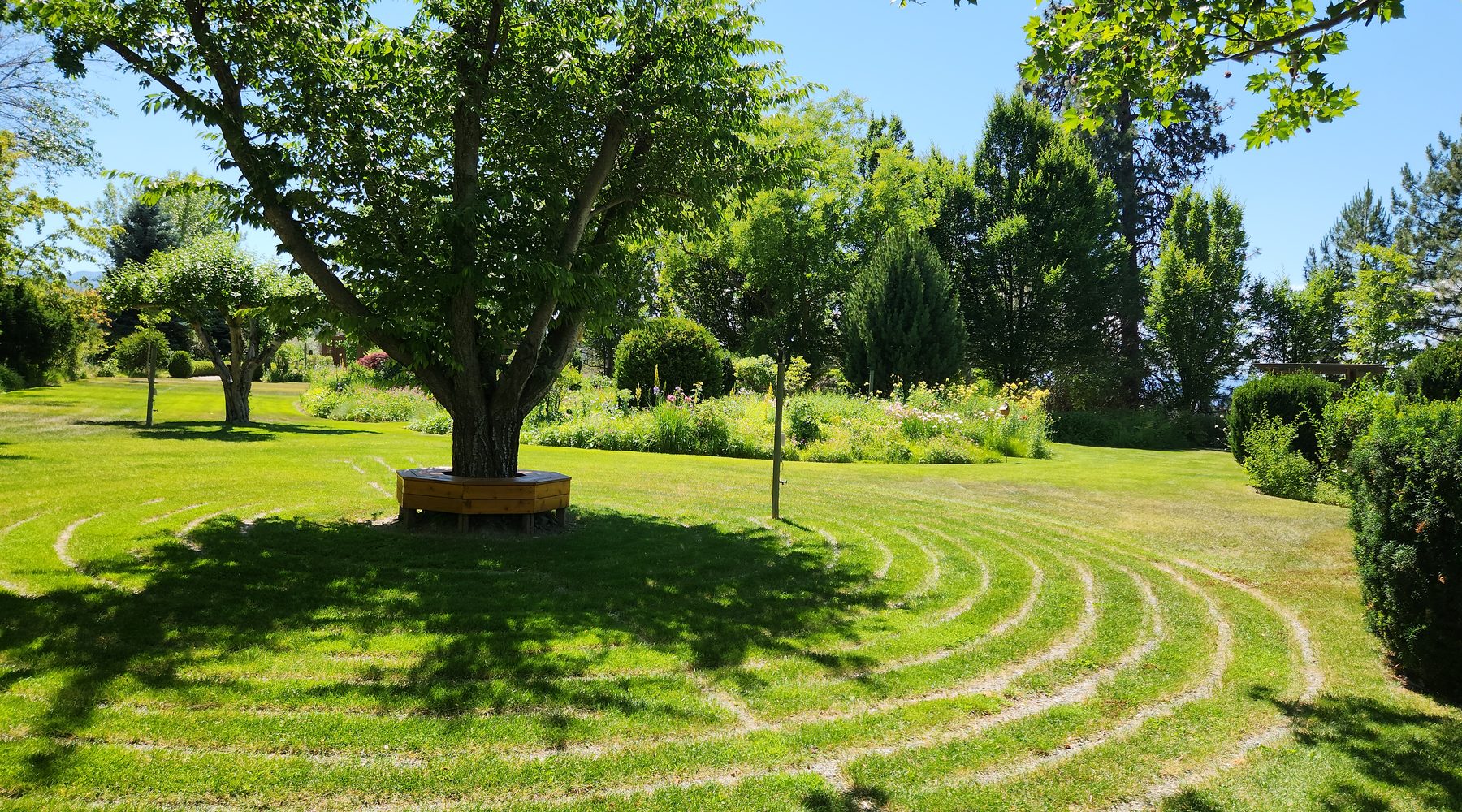 Open lawns and meadow at Elysium Gardens — the playground for the Hidden Object Game.