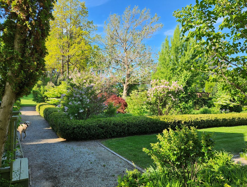 A path winding through the gardens at Elysium Gardens.